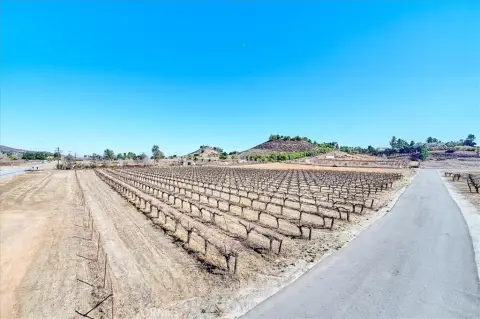Murrieta Vineyard Estate Opportunity