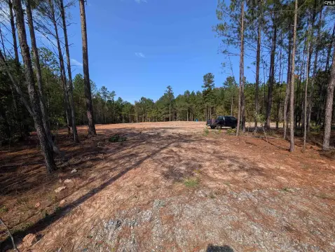 Unrestricted Homesite in Winnsboro, SC