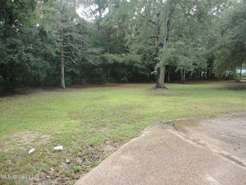 Picture 14
