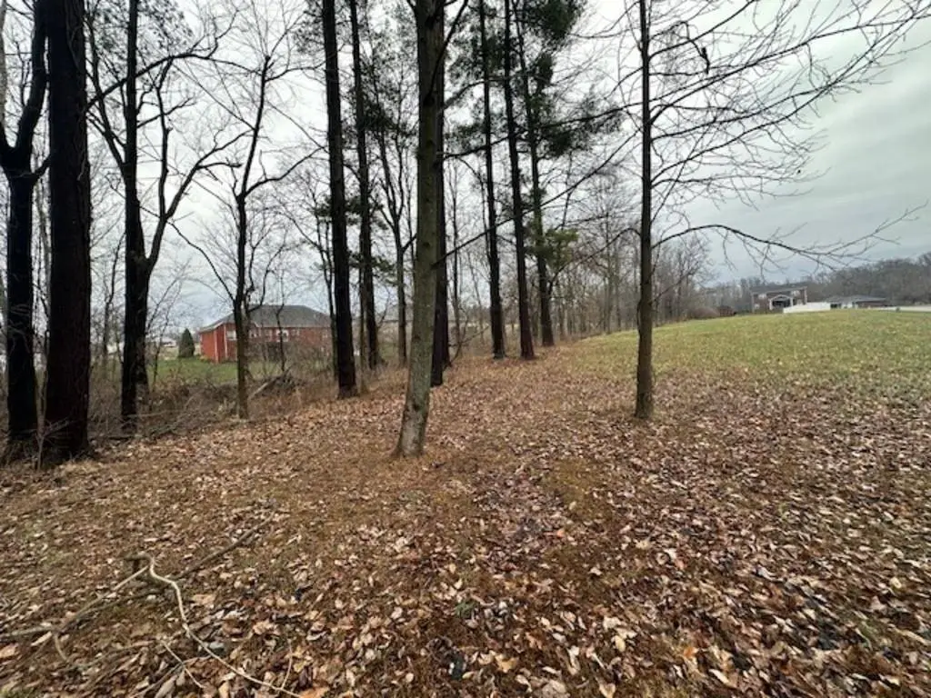 Picture 3