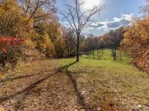 Secluded Timbered Land with Pond