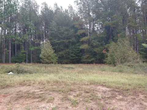 Commercial Land in Keysville, GA