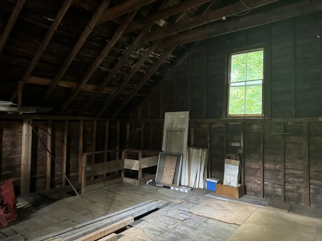 Picture 21