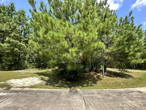 Residential Land in Dana Estates