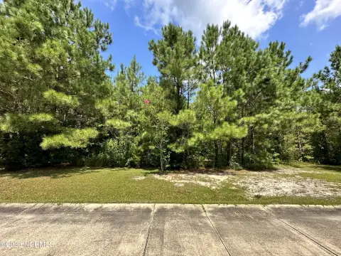 Residential Lot in Dana Estates