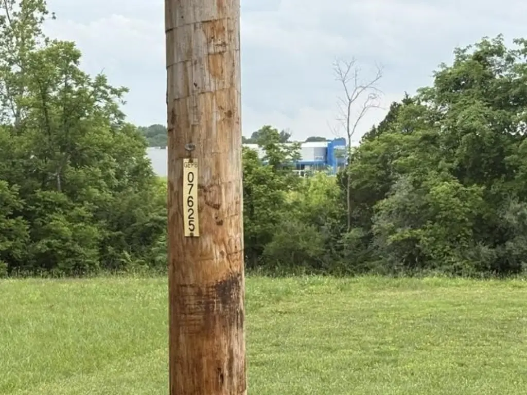 Picture 4