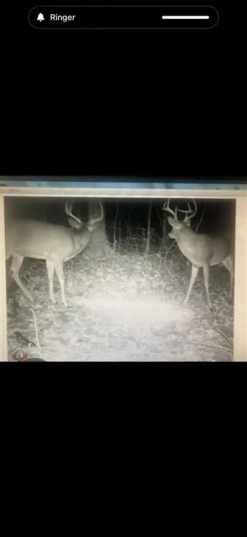 Picture 17