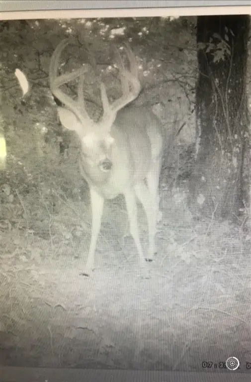 Picture 21