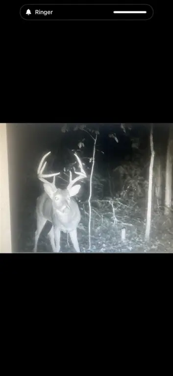 Picture 16