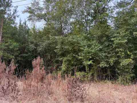 Wallace, SC Vacant Timberland Homesites
