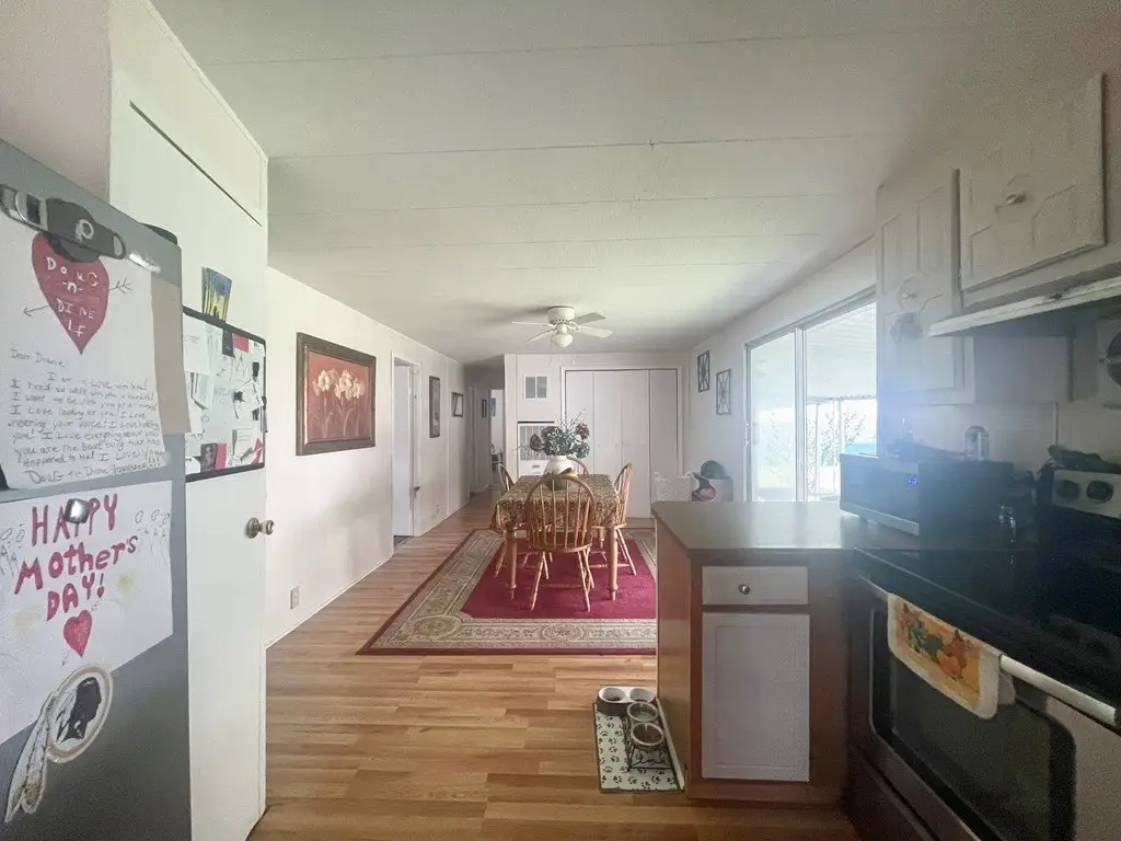Picture 17