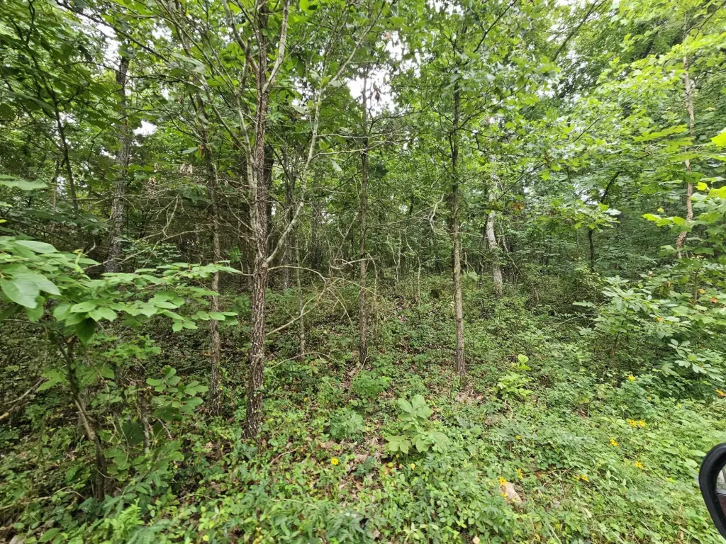Picture 11