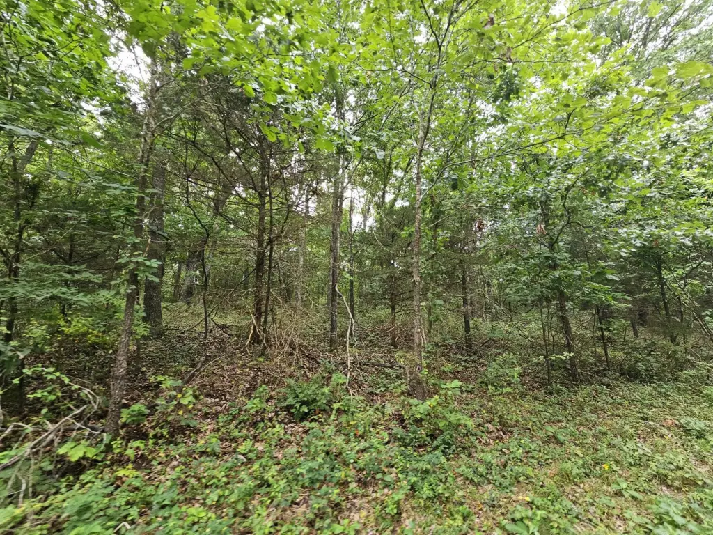 Picture 3