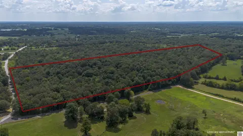 Wooded Acreage in Calvert City
