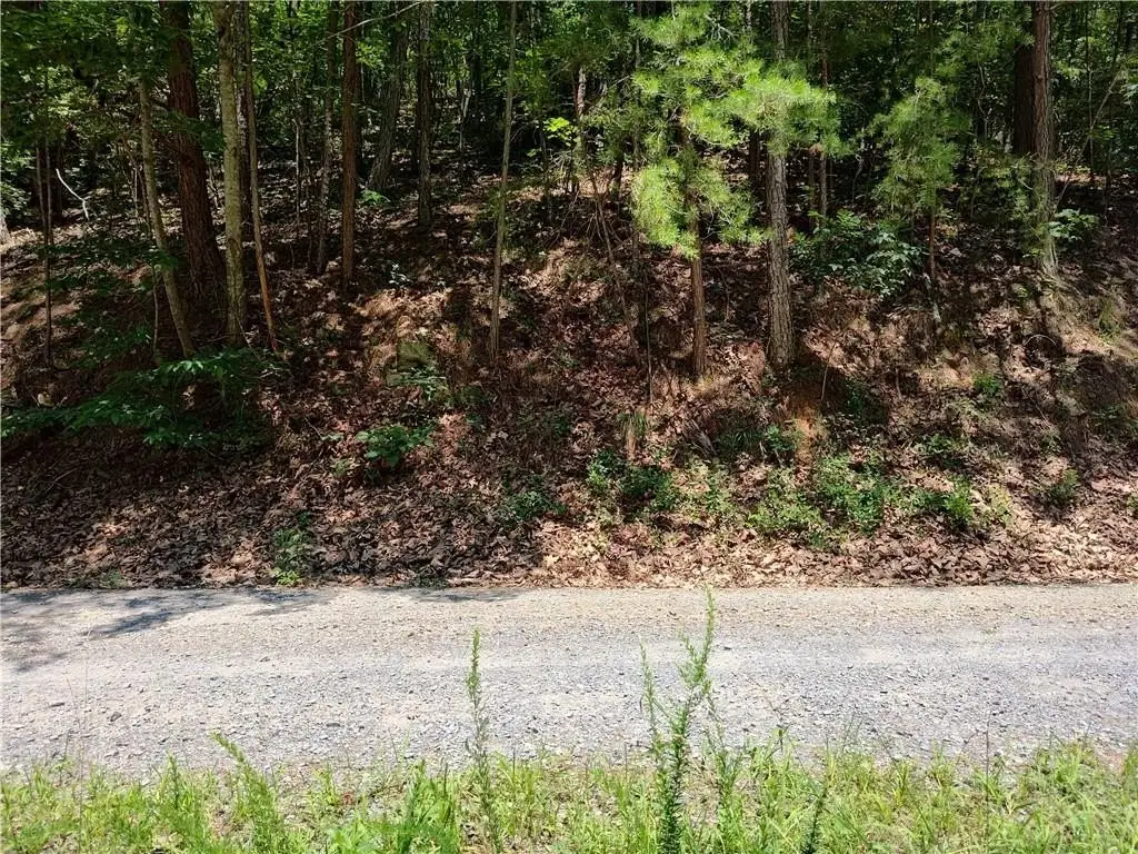 Picture 21