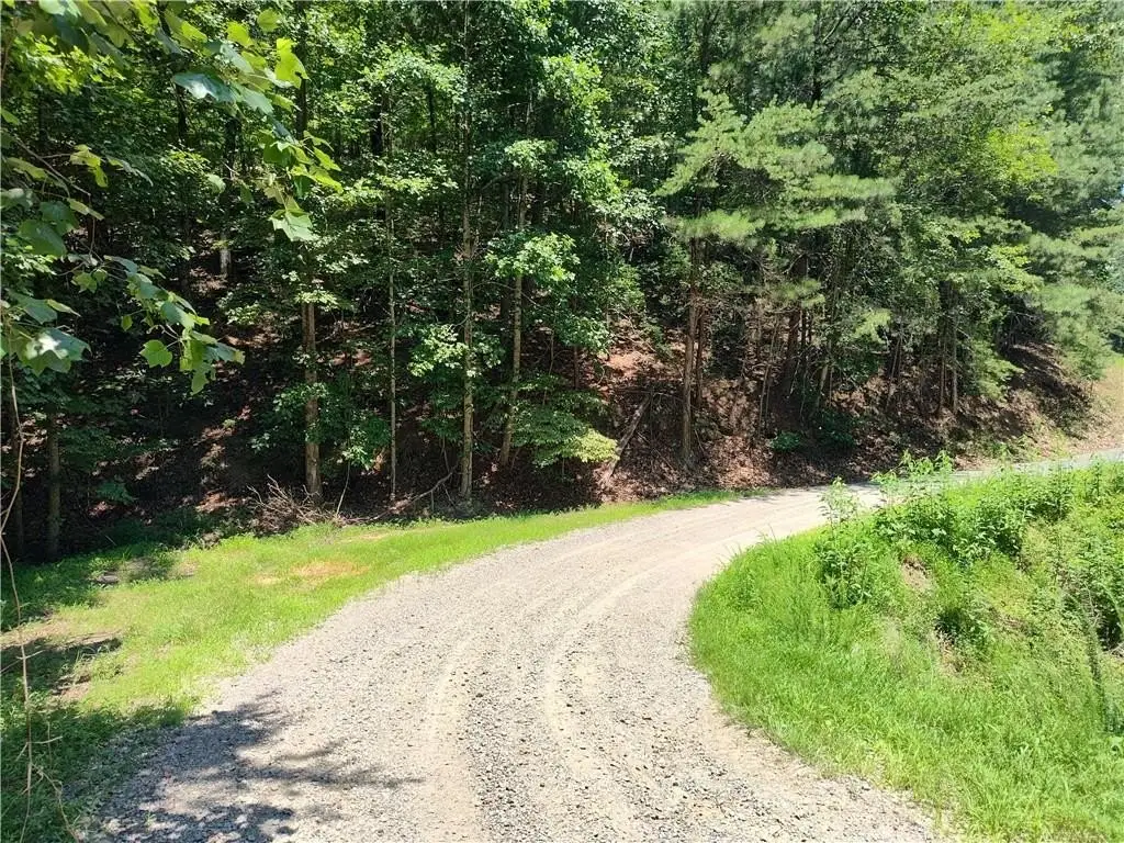 Picture 29