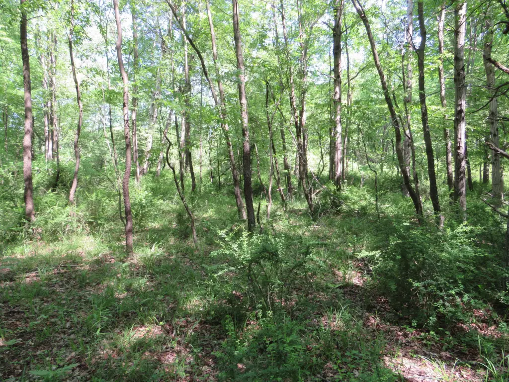 Picture 14