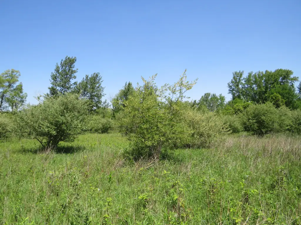Picture 35