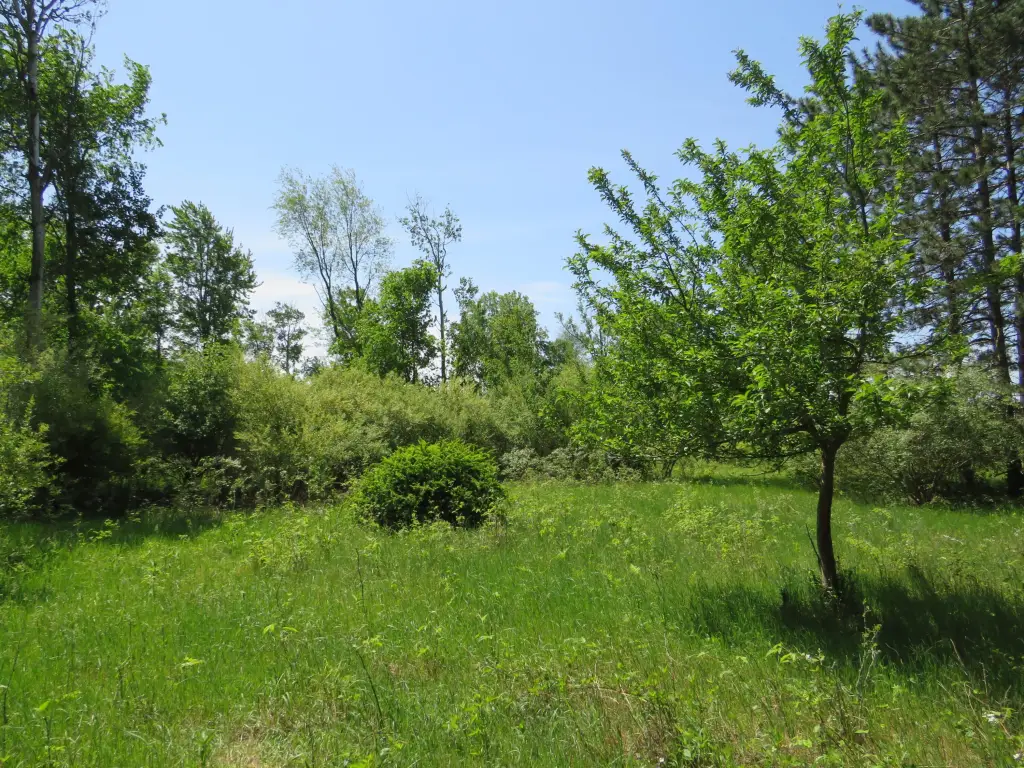 Picture 31