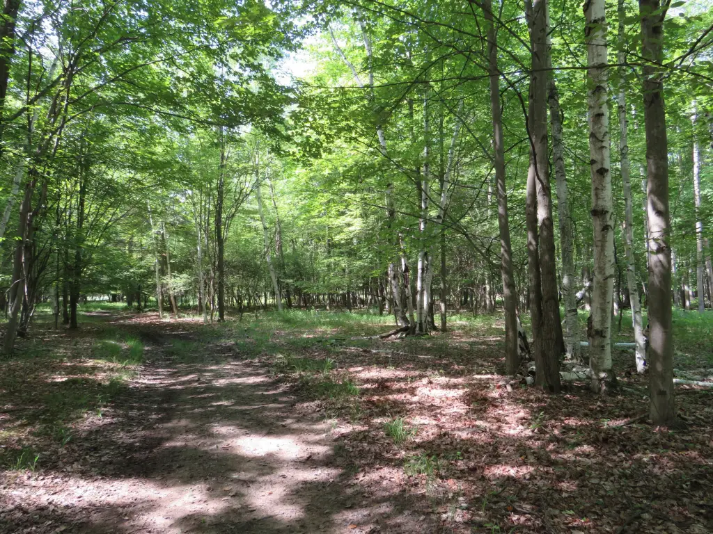 Picture 6