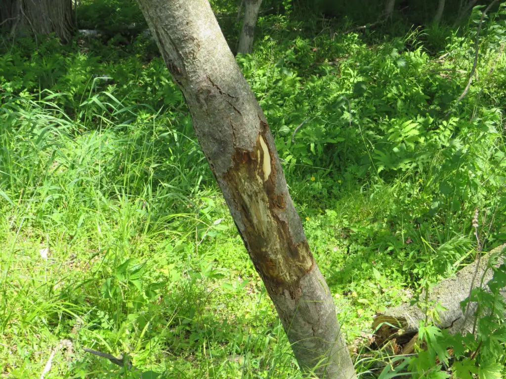 Picture 22