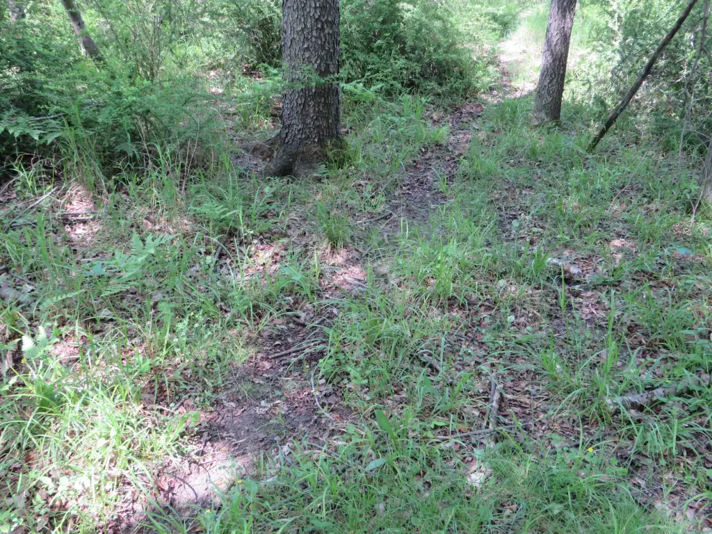 Picture 16