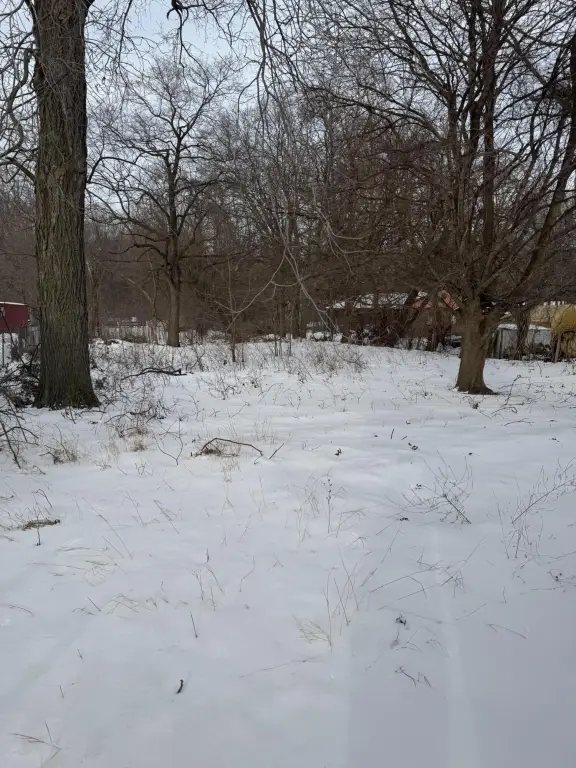 Picture 7
