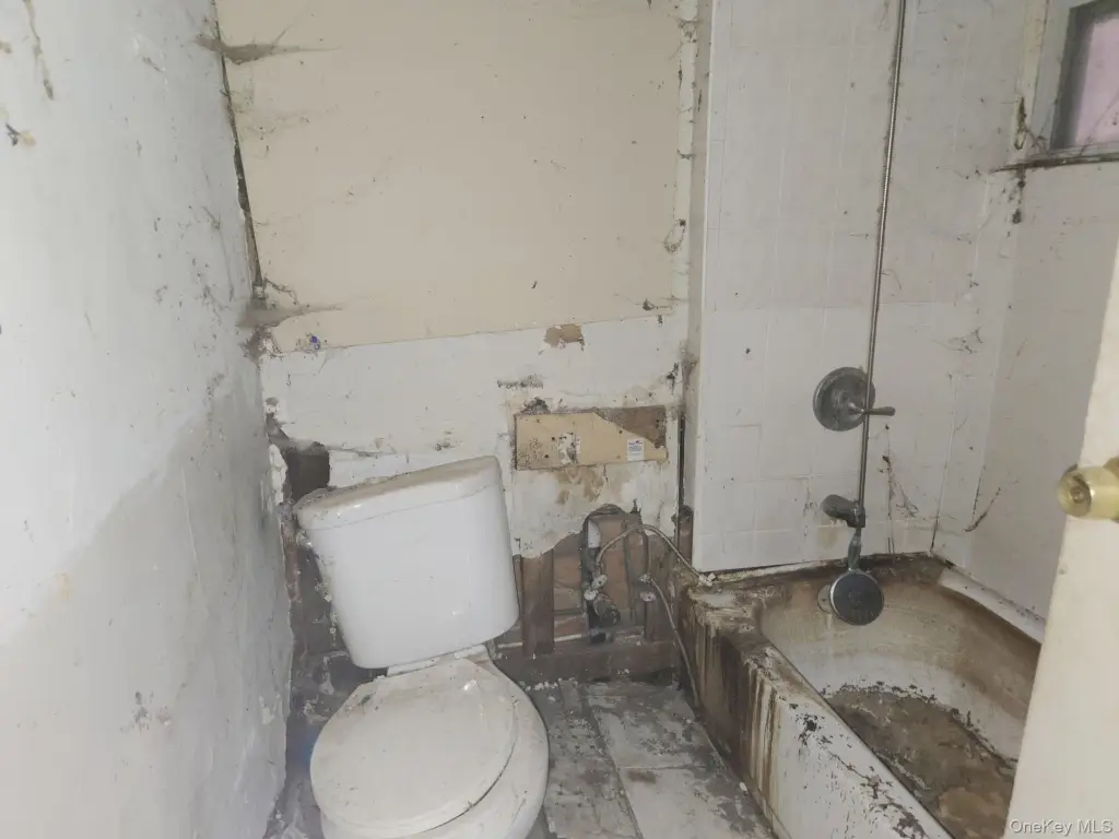 Picture 15