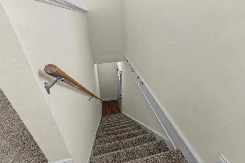 Picture 19