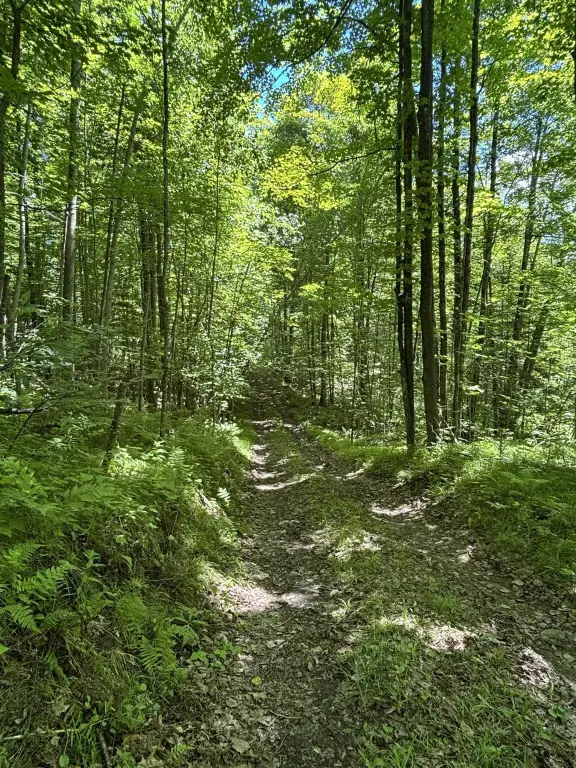 Picture 28