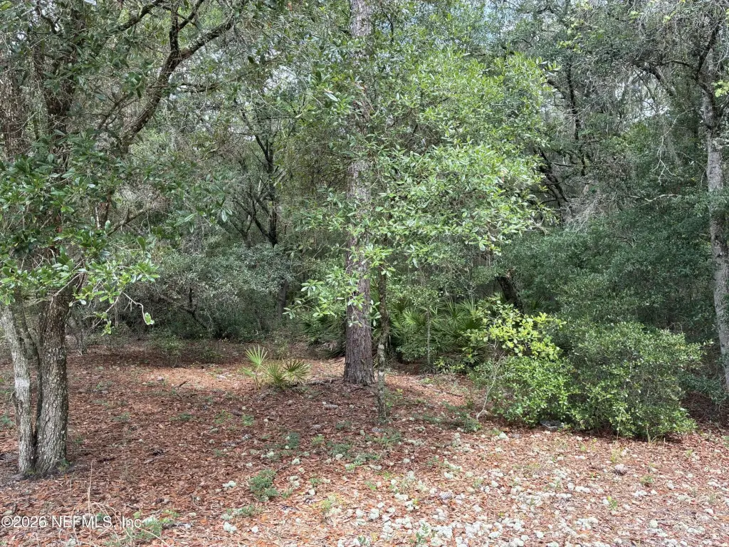 Picture 5
