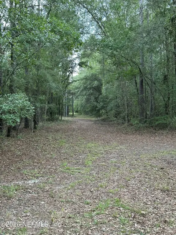 Picture 9