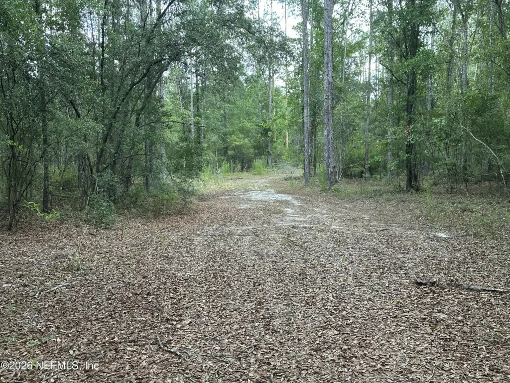 Picture 5