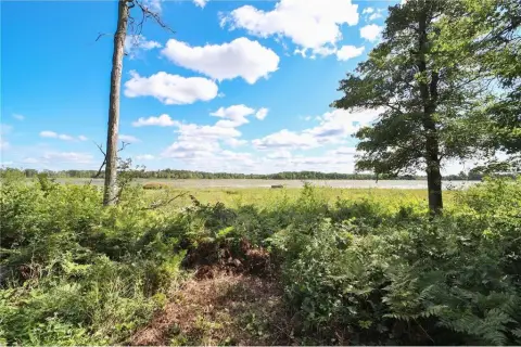 Heavily Wooded Acreage Near Brainerd