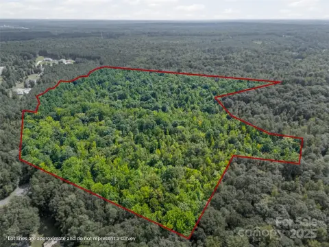 57 Acres Wooded Land