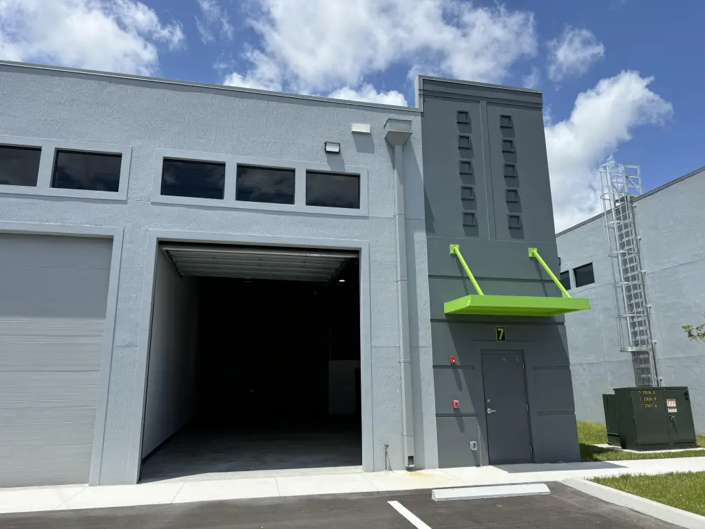 Picture 5