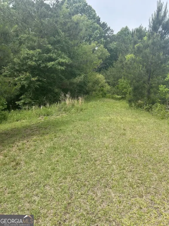 Picture 2
