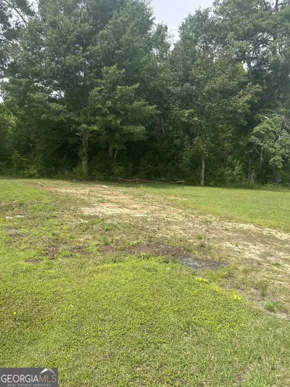 Picture 5