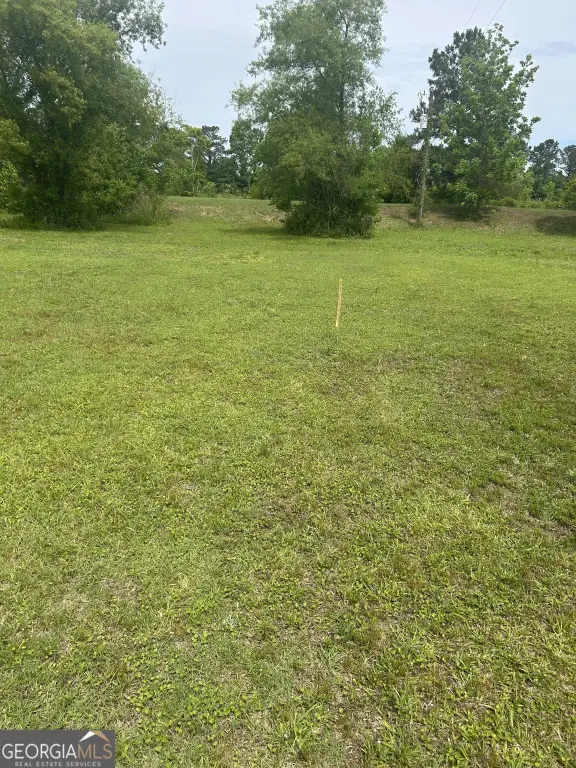Picture 4