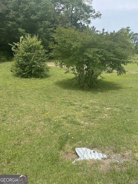 Picture 6