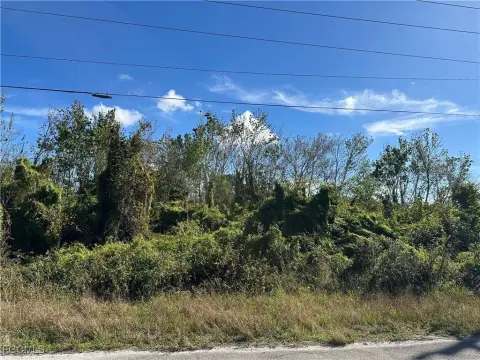 Residential Lot in Lehigh Acres