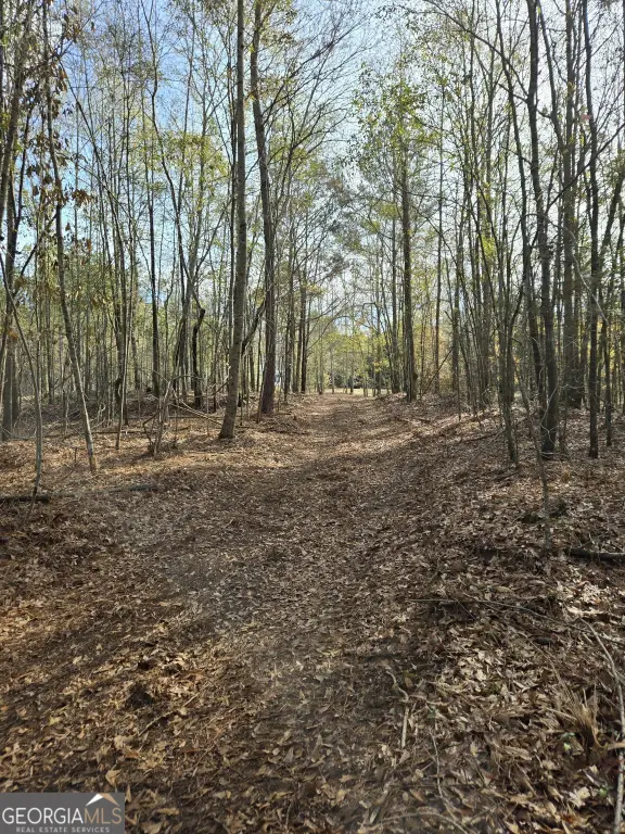 Picture 6