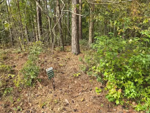 Land with Golf Course View