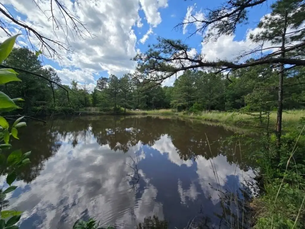 Picture 7
