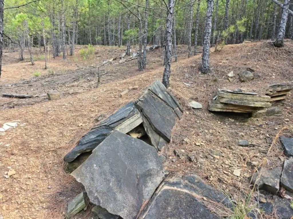 Picture 46