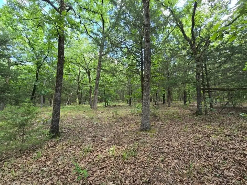 Picture 25