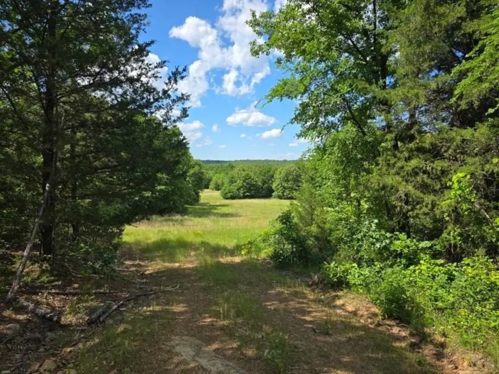 Picture 28