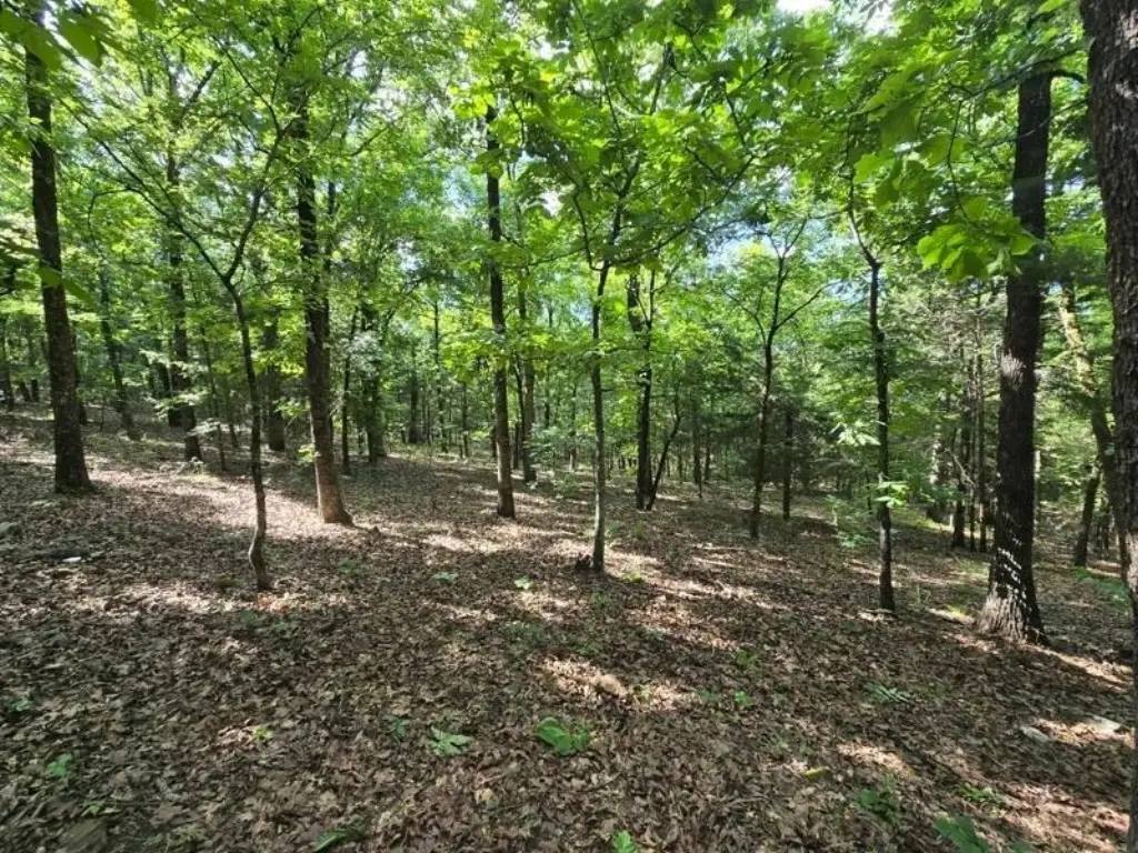 Picture 14