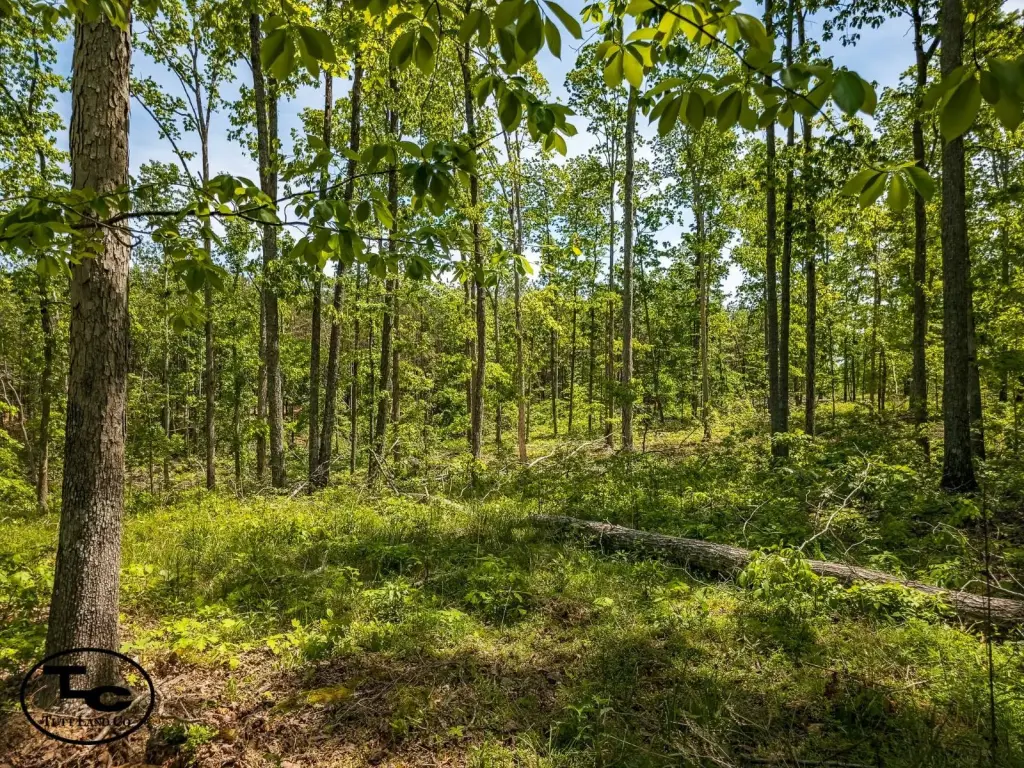 Picture 25