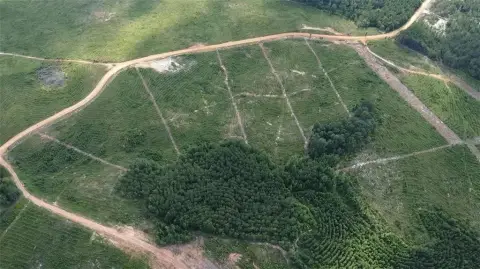 Seale, AL Land Opportunity